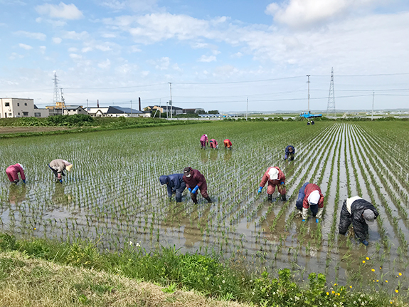 全ては安心して皆様に食べていただくために